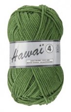 Hawai 4 - 073